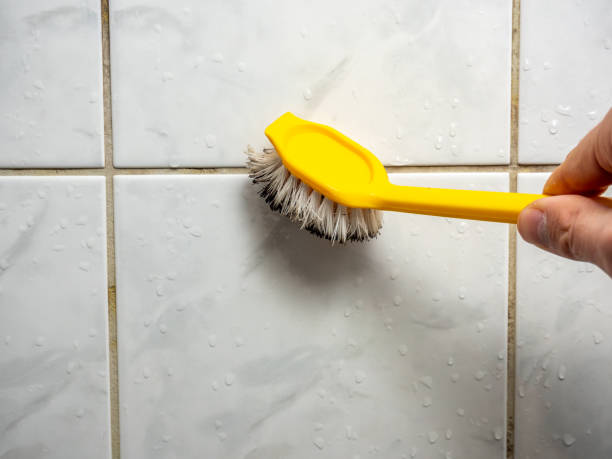 Best Mold Testing  in Green Bay, WI