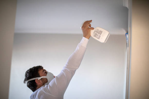 Best Crawl Space Mold Removal  in Green Bay, WI