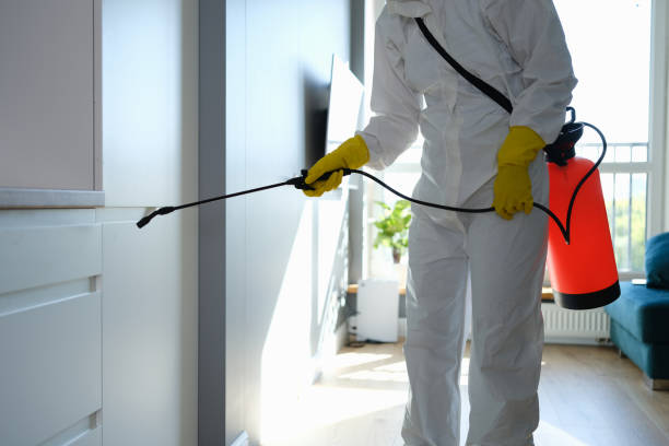 Water Damage Restoration in Green Bay, WI